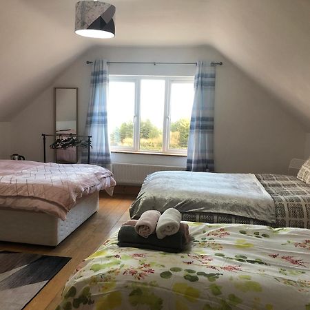 Four Seasons House Bed & Breakfast Милфорд Екстериор снимка